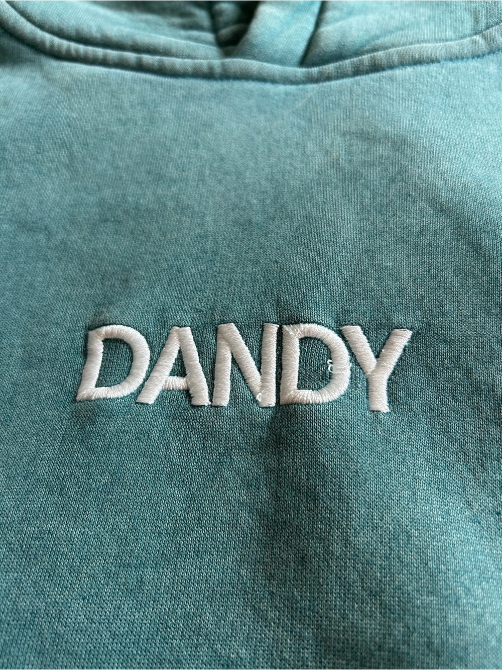 Dandy Let's Go On An Adventure green hoodie - Picture 3 of 6